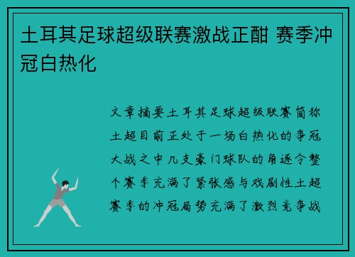 土耳其足球超级联赛激战正酣 赛季冲冠白热化